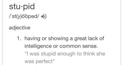 Definition of stupid